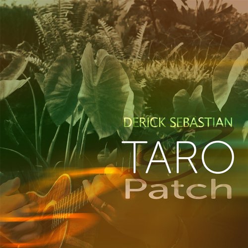 Taro Patch