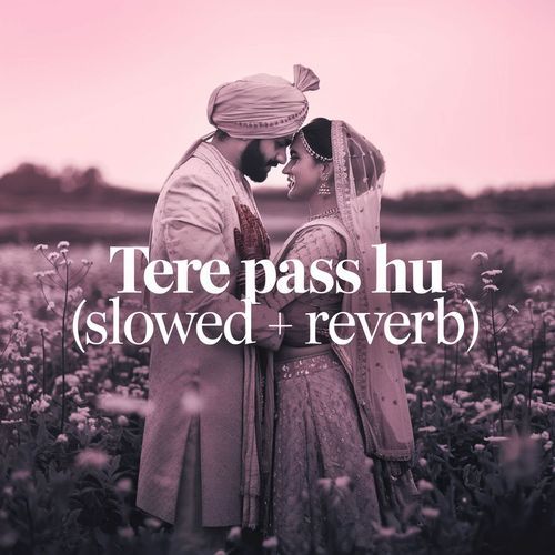 Tere Pass Hu (Slowed + Reverb)