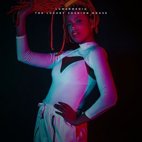 The Luxury Fashion House cover art