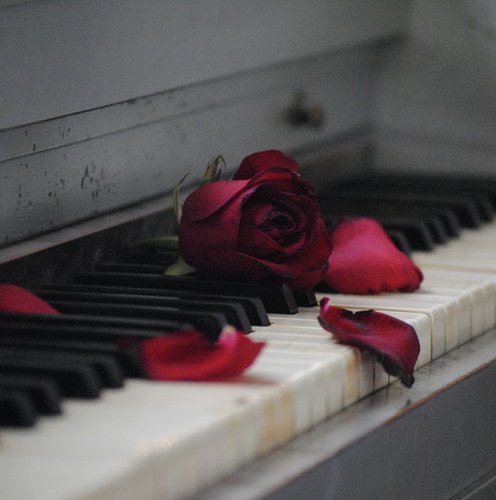 Piano Tune cover art