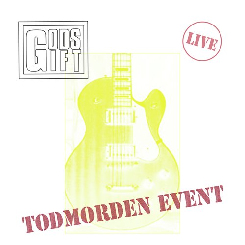 Nico (The Tordmorden Event Live, 1984) cover art