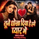 Tune Dhokha Diya Hai Hamen Pyar Mein