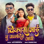 Vikash Bhai Nu Janmdin Aayo artwork