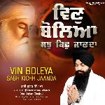 Vin Boleya Sabh Kichh Jannda