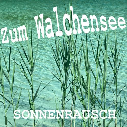 Zum Walchensee cover art