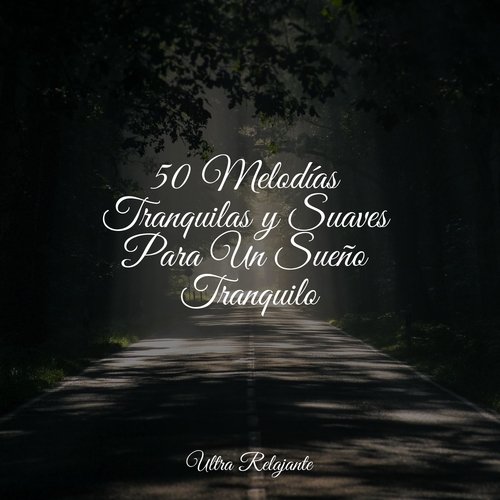 50 Melodías Tranquilas y Suaves Para Un Sueño Tranquilo_poster_image