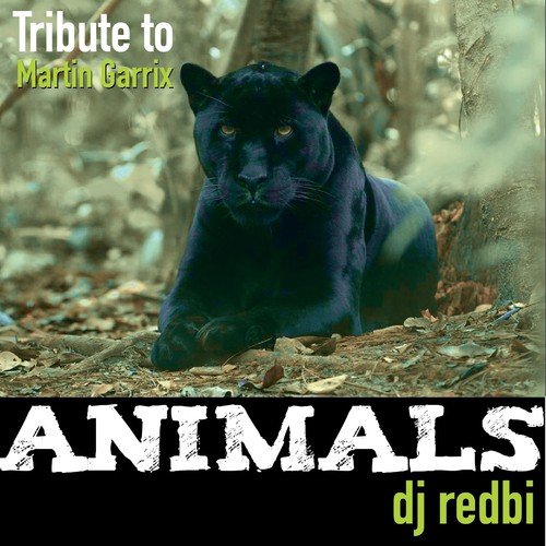Animals - Song Download from Animals (Remix - Tribute to Martin Garrix) @  JioSaavn