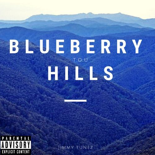 BLUEBERRY HILLS cover art