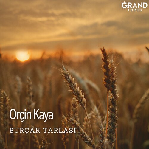 Burçak Tarlası cover art