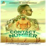 Contact Number