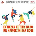 Ek Nazar Ke Teer Mabo Dil Hamor Shikar Hoge