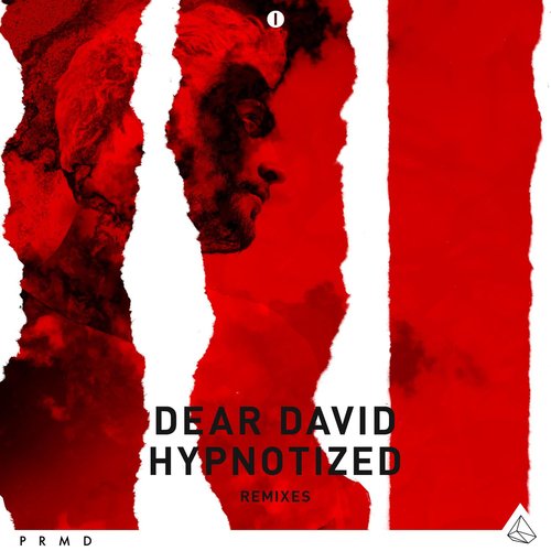 Hypnotized (Fat Sushi Remix Extended) cover art