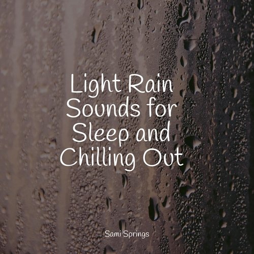 Light Rain Sounds for Sleep and Chilling Out_poster_image