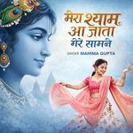 Mera Shyam Aa Jata Mere Samne