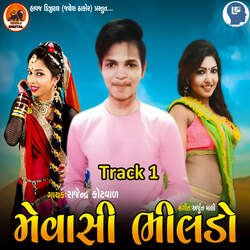 Mevasi Bhilado Track 1-Ci4,dQNURwc