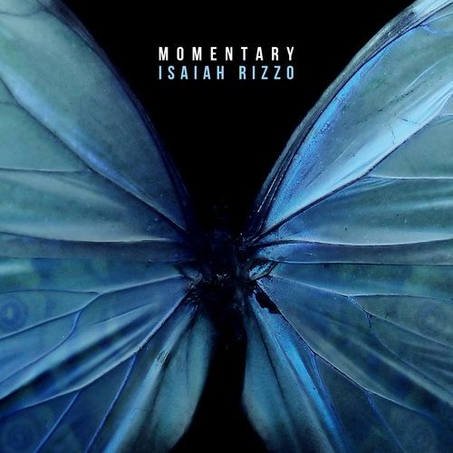 Momentary cover art