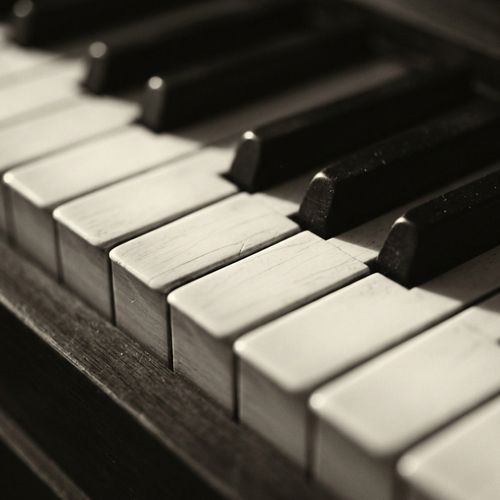 Monochrome Ivory