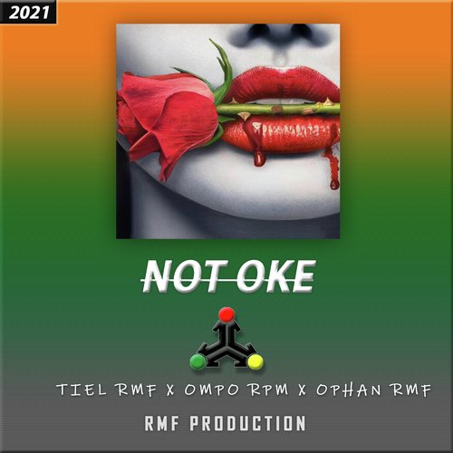 Not Oke cover art