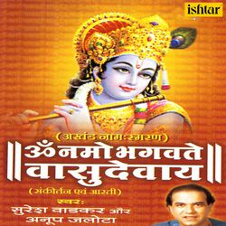 Om Namo Bhagvate Vasudevay