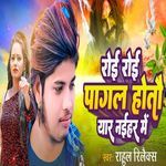 Roi Roi Pagal Hotau Yar Naihar Me