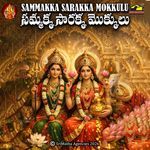 Samaka saraka mookkulu