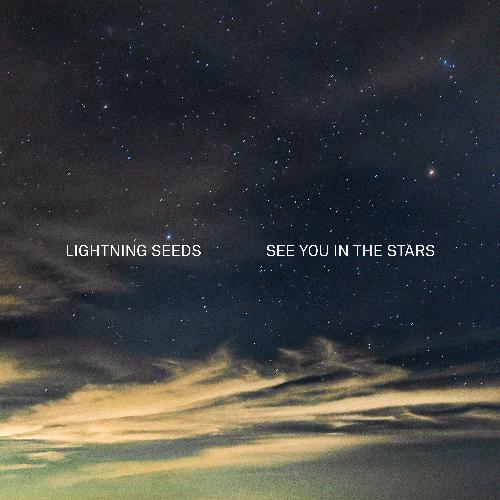 See You in the Stars_poster_image