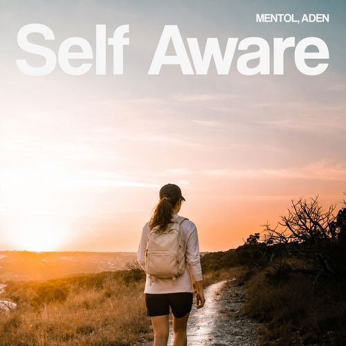 Self Aware