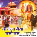 Shree Kaila Maiya Namo Namah