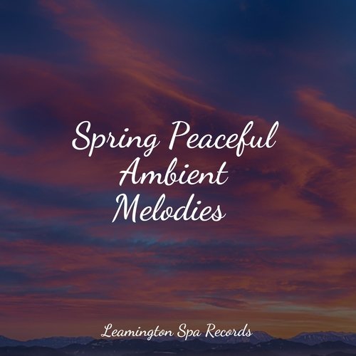 Music for Meditation cover art