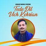 Tede Dil Vich Kehrian