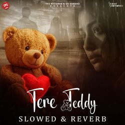 Tere Teddy (Slowed &amp; Reverb)-KD8DeBJ1UEY