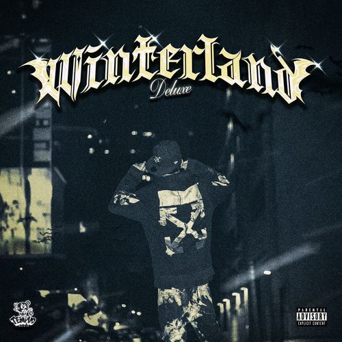 WINTERLAND DELUXE_poster_image