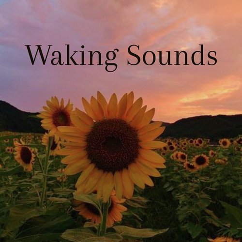 Waking Sounds_poster_image