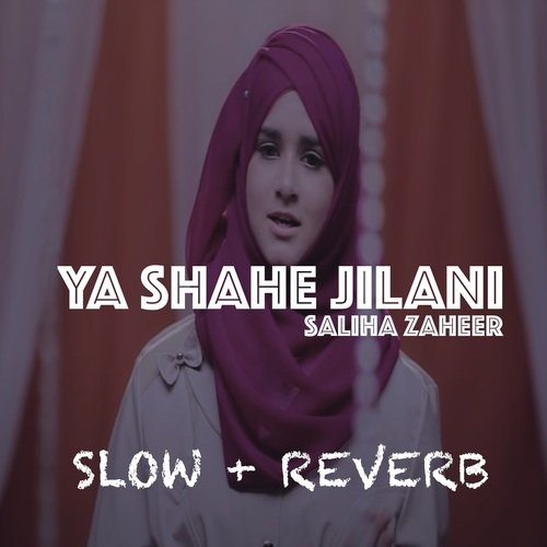 Ya Shahe Jilani cover art