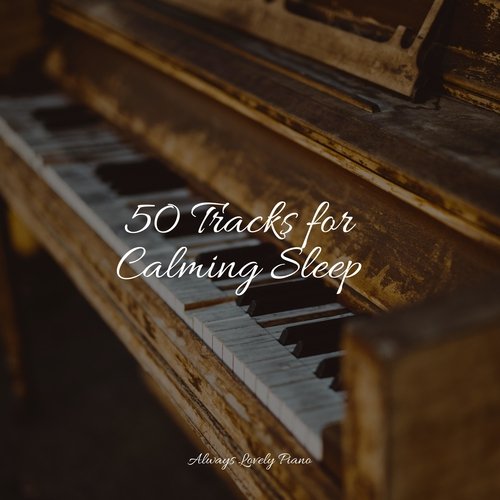 25 Tracks for Calming Sleep_poster_image