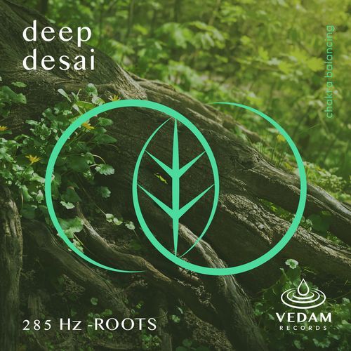 285 Hz - ROOTS