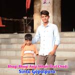 Bhagi Bhagi Aayi Mhari Fhul Chadi