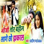 Bhouji Tor Bahin Lage Chho Jhakas