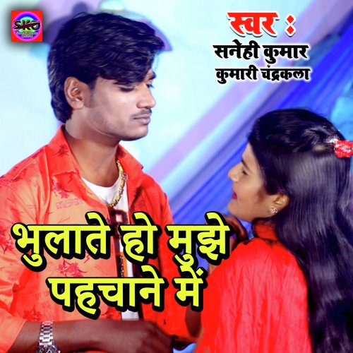 Bhulate Ho Mujhe Pahchane Mein (Bhojpuri song)