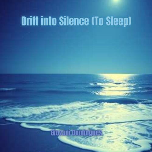 Drift into Silence (To Sleep) cover art