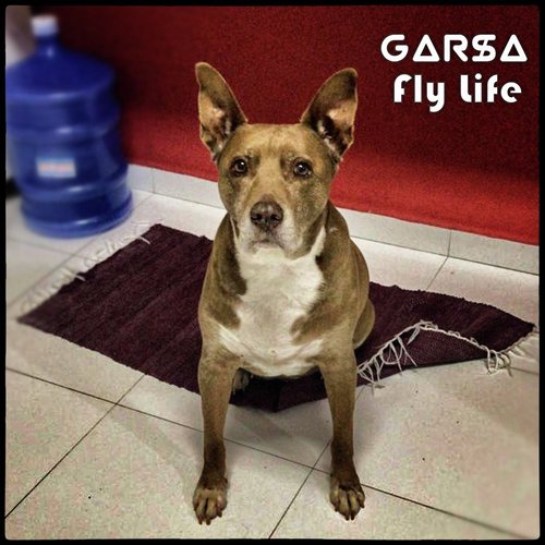 Fly Life (DJ Anthony Garcia Remix) cover art