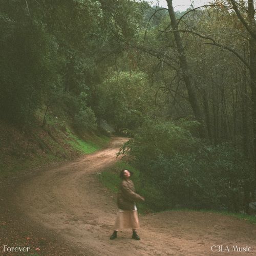 Forever (Live) cover art