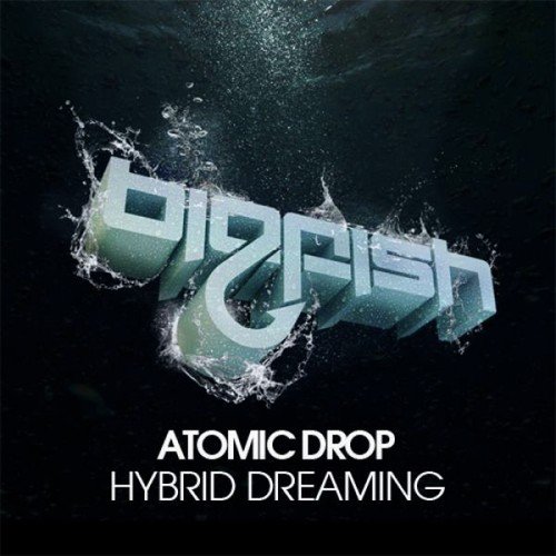 Hybird Dreaming