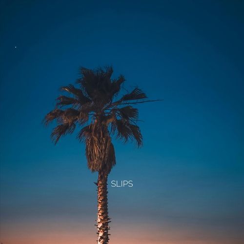 Long Summer Nights