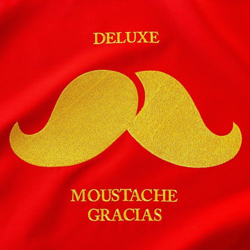 Moustache Gracias_poster_image