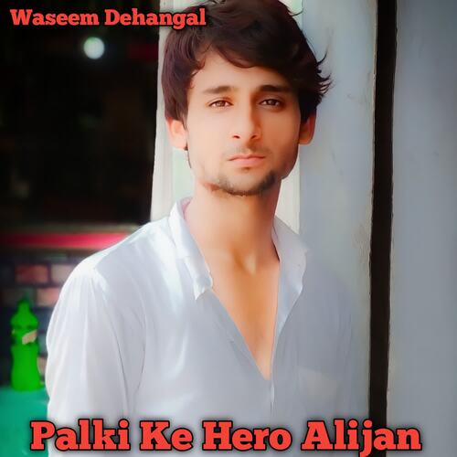 Palki Ke Hero Alijan cover art