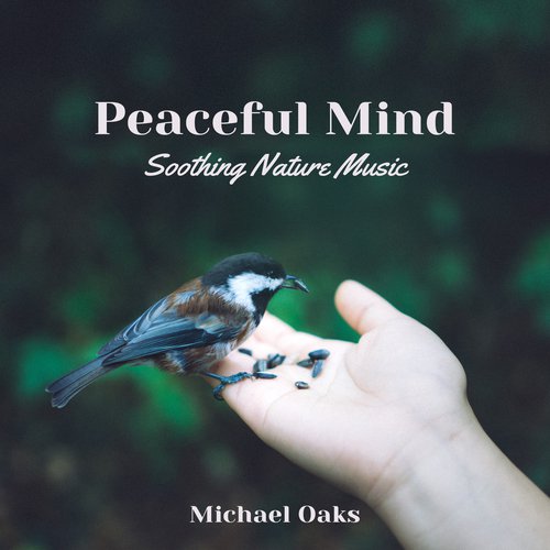 Peaceful Mind (Soothing Nature Music)_poster_image