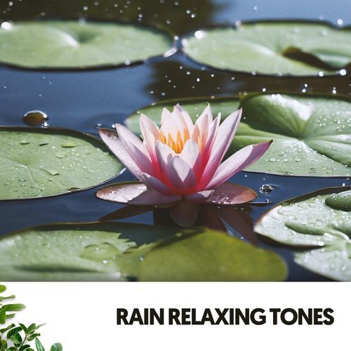 Rain Relaxing Tones: Melodies of the Storm_poster_image