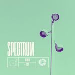 SPECTRUM (SAY MY NAME) (DnB)