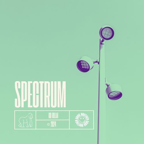 SPECTRUM (SAY MY NAME)